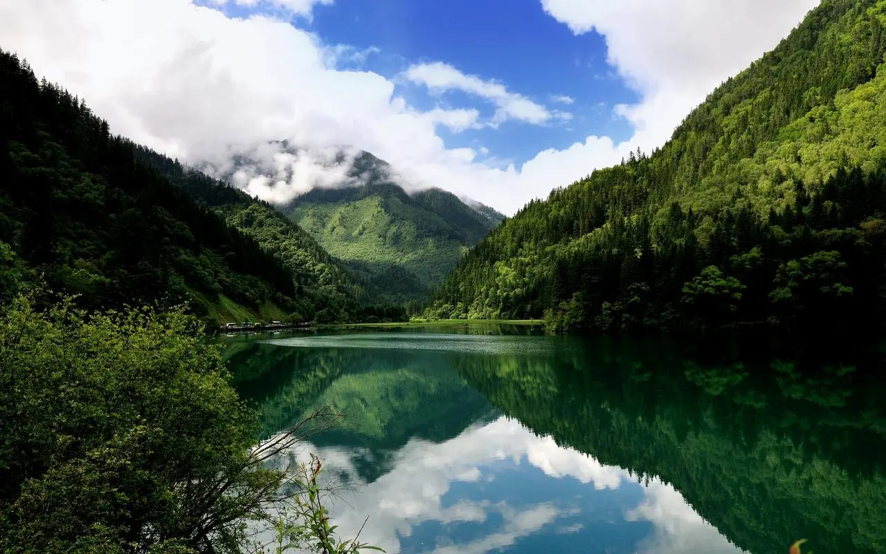 创意智慧